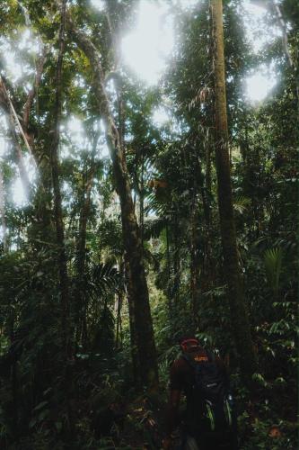 Rainforest Chalets - Rainforest Tours,Pool And Ac