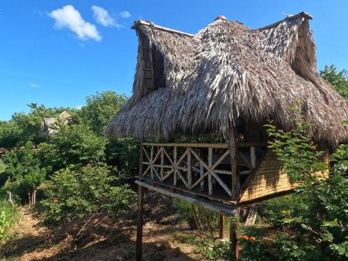 Skats, Palapa in El Transito