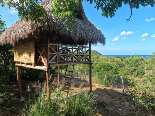 Apkārtne, Palapa in El Transito