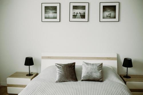 Apartament Magnolia -centrum