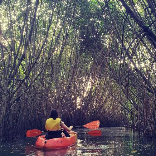 Yamuna kayaking & homestays