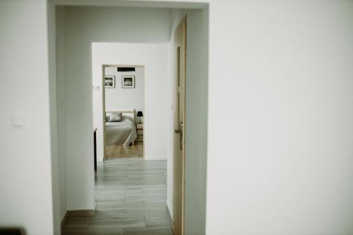 Apartament Magnolia -centrum