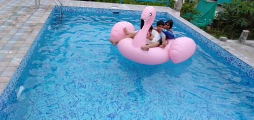 Úszómedence, Jewel Homes Thattekad - ISO 9001 certified Birding & Family Nature Stay in Thattakad