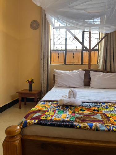 Mashas Backpackers