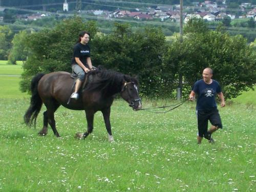 Ferienhof Sturm Ferienhof Sturm