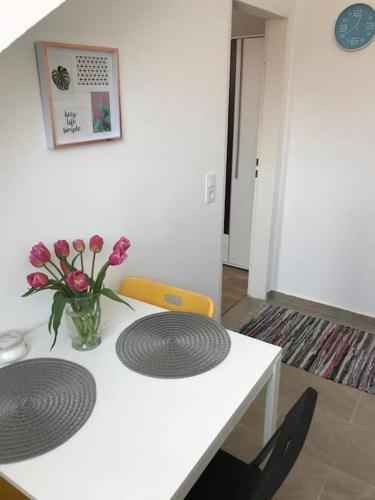 Zentrum, helle und ruhige möblierte DG-Wohnung zwischen Steintor und Uni, Hannover (fotografie 9)