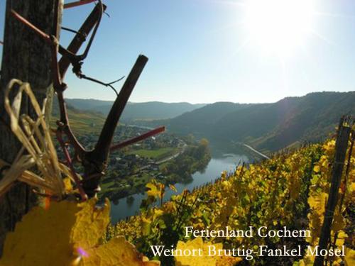 Ferienwohnungen Ferienland Cochem - image 8