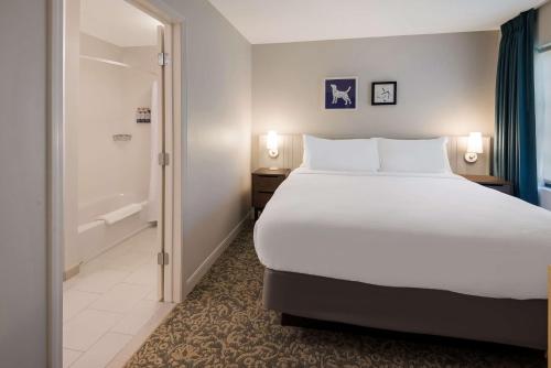 Sonesta ES Suites Boston Andover - image 7