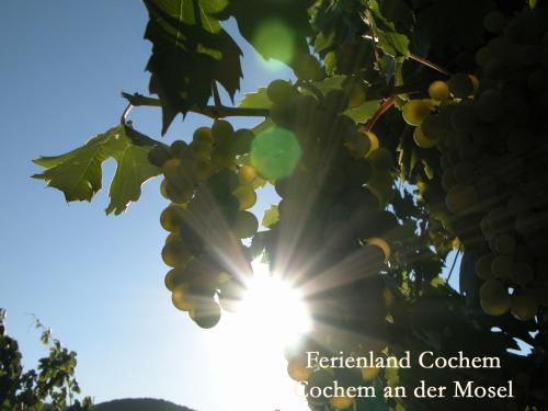 Ferienwohnungen Ferienland Cochem - image 6