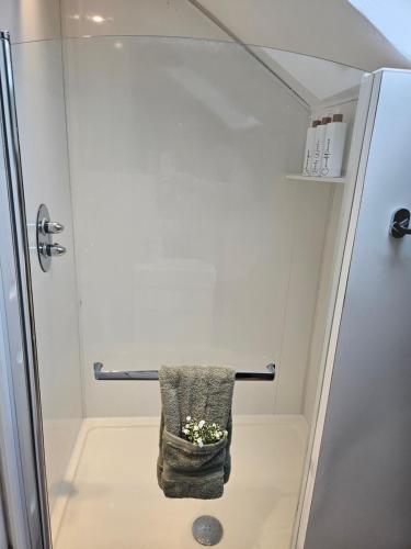 Fürdőszoba, The Attic in Chapel West