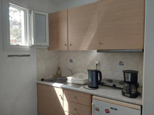 ground floor apartment - image 8