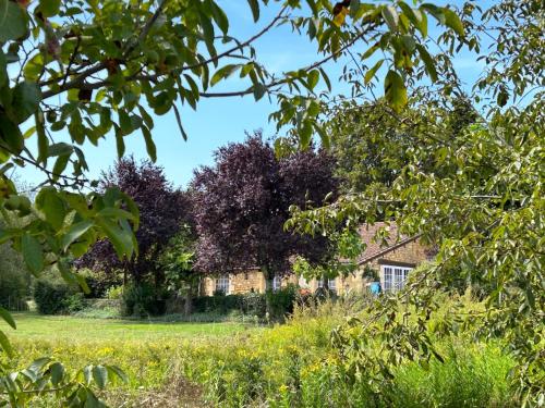 Gîte La Bergerie - Apartment - Le Buisson de Cadouin