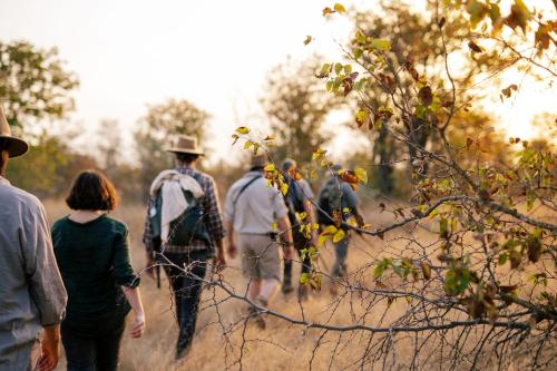 Simbavati Trails Camp Simbavati Trails Camp