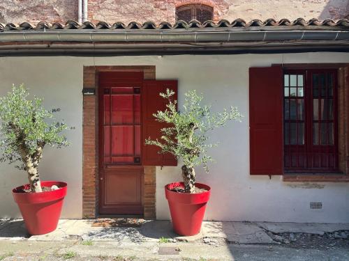 Petite chartreuse calme en plein coeur de Toulouse, Тулуза (фото 9)