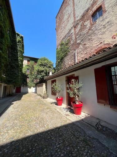Petite chartreuse calme en plein coeur de Toulouse, Тулуза (фото 2)