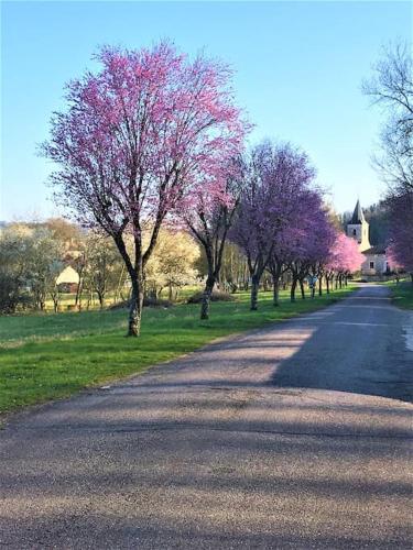 La MUSARDIERE Gîte paisible à la campagne