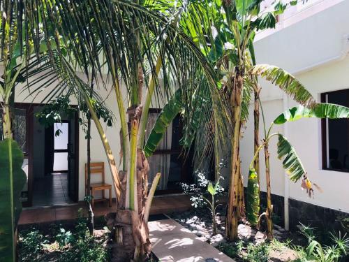 Aussicht, Residencial Lela d'Fermina in Paul