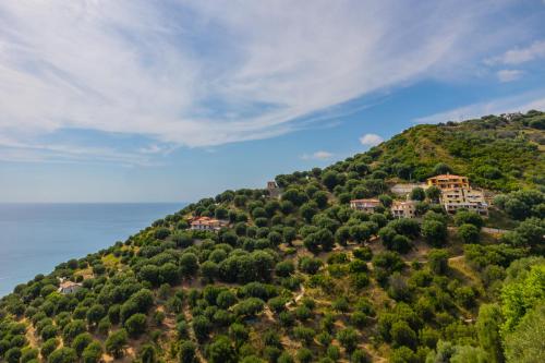 Casa del Gelso - Pisciotta