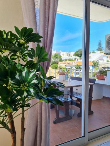 ทัศนียภาพ, CASA TÔMBUA - Pool - Beach & Center 300m - AC - WiFi (CASA TOMBUA - Pool - Beach & Center 300m - AC - WiFi) in วาเล เด โกโว