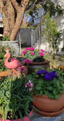 Best House Secret Garden Home Lagonisi Attiki