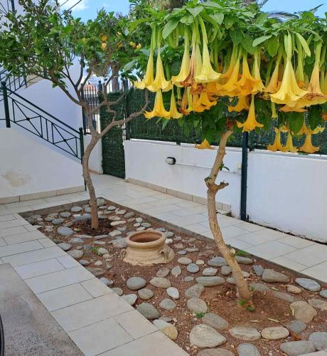  Vicky's place,near Athens airport in Koropi