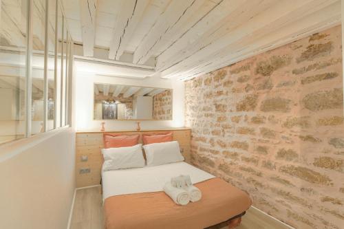 Duplex de caractère en hypercentre, Lyon (fotografie 10)