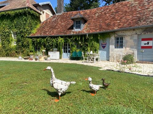 B&B Quingey - L’Orangerie de Malpas - Bed and Breakfast Quingey