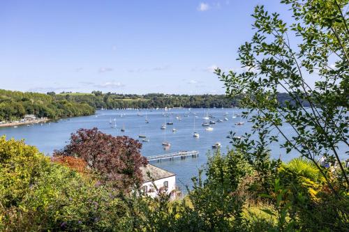 Dartside, Dittisham (photo 2)