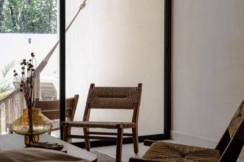 Amazing new House in the jungle Amazing new House in the jungle