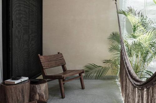 Amazing new House in the jungle Amazing new House in the jungle