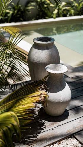 Amazing new House in the jungle Amazing new House in the jungle