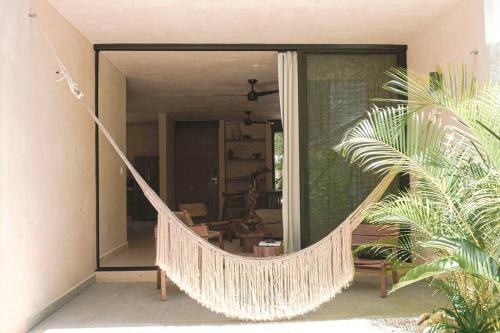 Amazing new House in the jungle Amazing new House in the jungle