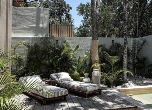 Amazing new House in the jungle Amazing new House in the jungle