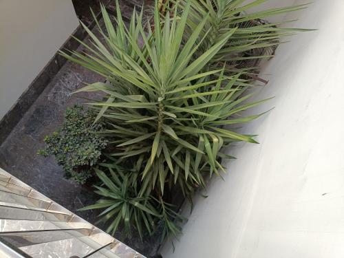 Apartamentos Luxury Puente de Triana, Sevilla (Foto 8)