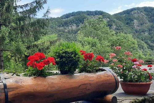 Piandinovello nice stay