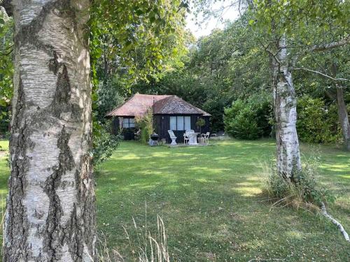 Cabin in the Woods