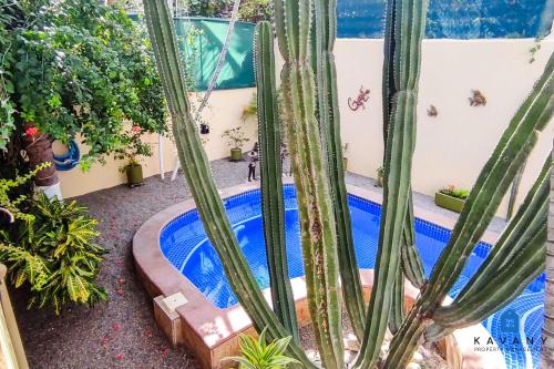 NEW Tropical Pool Oasis BBQ Beach Only 4 Blocks