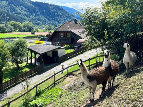  Holiday Home Lama by Interhome, Pension in Niederwölz bei Sankt Georgen ob Judenburg