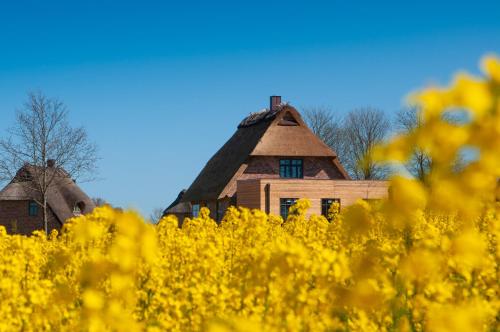 Reetdorf Geltinger Birk Atelierhaus Steilküste in Nieby, Deutschland