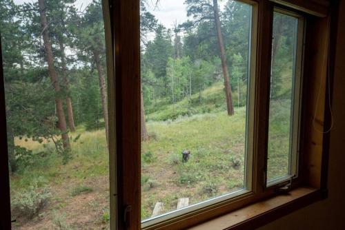 Interior view, Warm Woodland Getaway with Land in Red Feather Lakes