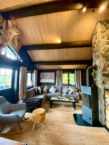 Three bedroom holiday house with jacuzzi in Bjorli , pets allowed in 比約利