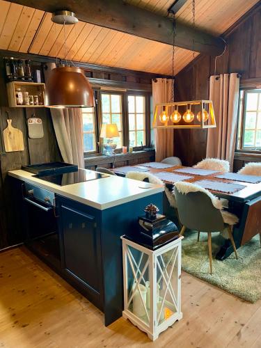 Three bedroom holiday house with jacuzzi in Bjorli , pets allowed in 比約利