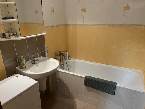Apartment 'ACTIVE LIFE' - Hockey, Football and Basketball stadium, POLUS Shopping center - air conditioned and parking possibility, Bratislava (Foto 6)