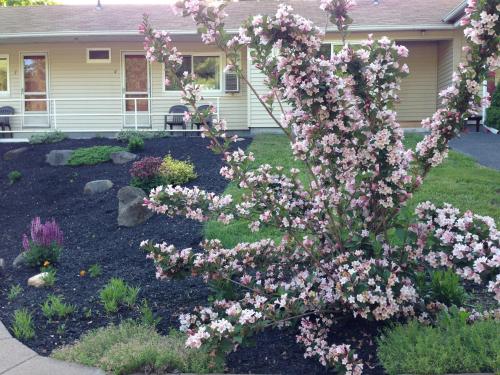 Northeaster Motel - image 2
