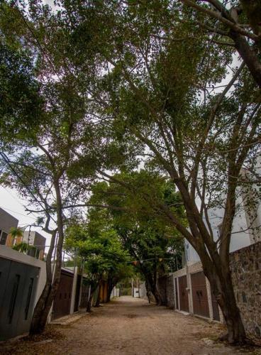 ¡Nueva! Bamboo La Guayaba Alberca & Descanso in Jiutepec, Mexico