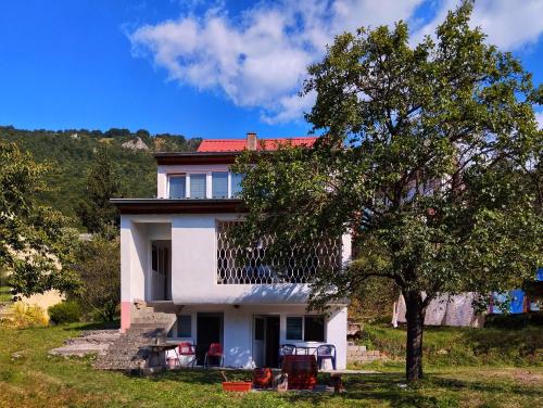 Lingkungan sekitar, Guesthouse Mirkovic in Pluzine