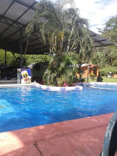 Swimming pool, Hotel Maguey in Puerto Viejo de Sarapiqui