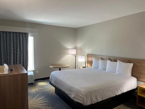 1 twin bed
