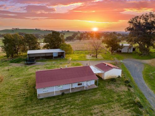 Cooinda Cottage - Beautiful Borenore Farm Stay in Borenore