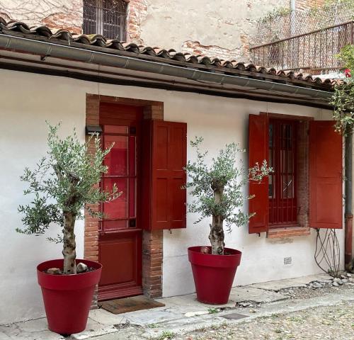 Petite chartreuse calme en plein coeur de Toulouse, Тулуза